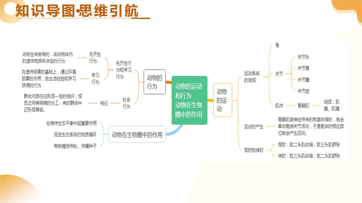 第18讲 动物的运动和行为、动物在生物圈中的作用 2025年中考生物一轮复习讲练测 课件第4页