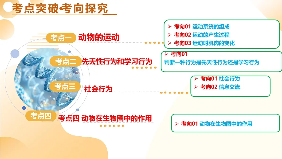 第18讲 动物的运动和行为、动物在生物圈中的作用 2025年中考生物一轮复习讲练测 课件第5页