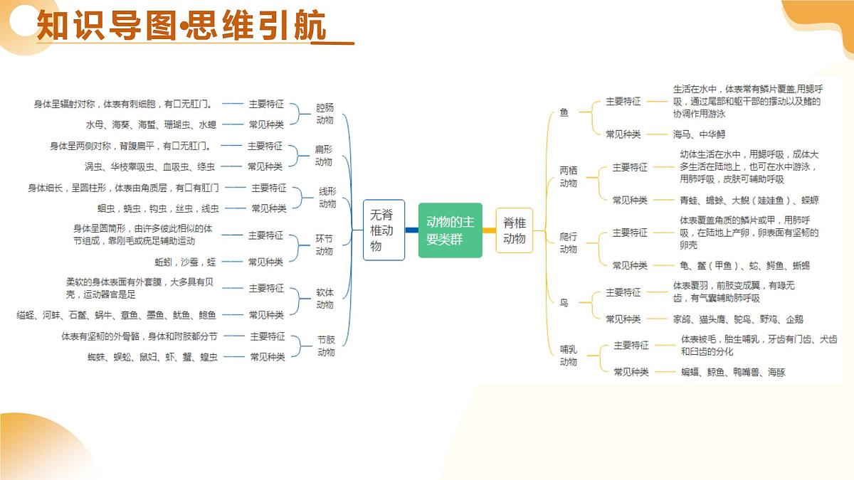 第17讲 动物类群（精讲课件）2025年中考生物一轮复习讲练测（山东专用）第4页