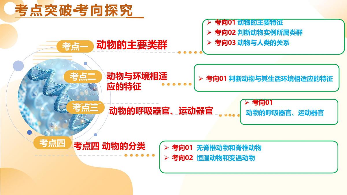 第17讲 动物类群（精讲课件）2025年中考生物一轮复习讲练测（山东专用）第5页