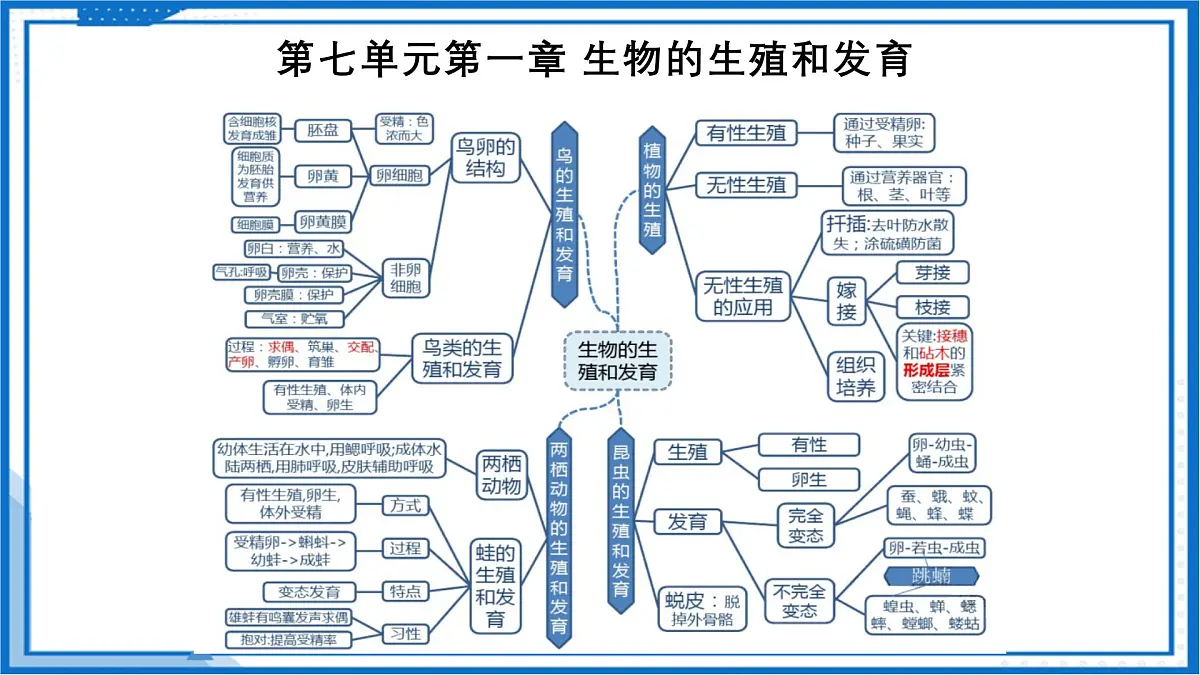人教版八年级下册期末考试复习 2025学年八年级生物下册（人教版）课件第4页