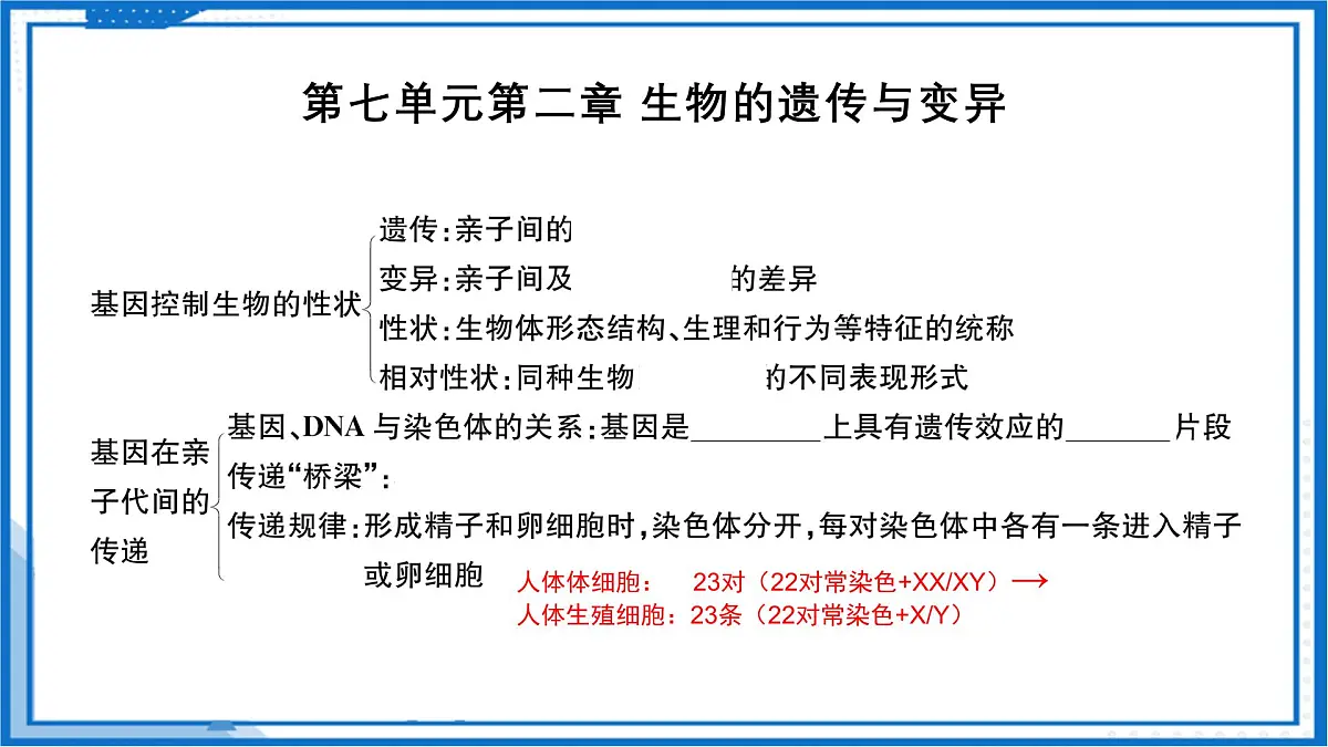 人教版八年级下册期末考试复习 2025学年八年级生物下册（人教版）课件第5页