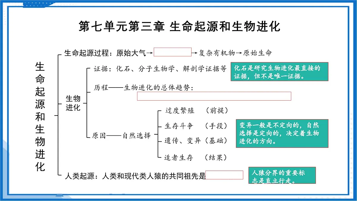 人教版八年级下册期末考试复习 2025学年八年级生物下册（人教版）课件第7页
