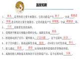 4.1.2 青春期（課件）2025學年七年級生物下冊優(yōu)質(zhì)課件+教學設(shè)計（人教版2024）