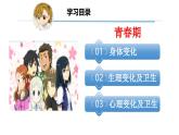 4.1.2 青春期（課件）2025學年七年級生物下冊優(yōu)質(zhì)課件+教學設(shè)計（人教版2024）
