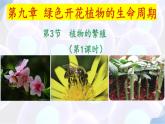 9.3 植物的繁殖（第1課時）2025學年七年級生物下冊同步優(yōu)質課件（蘇教版2024）