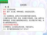 9.3 植物的繁殖（第1課時）2025學年七年級生物下冊同步優(yōu)質課件（蘇教版2024）