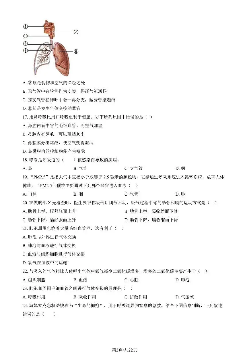 2024北京北师大附中初一（下）期中生物试卷（教师版）第3页