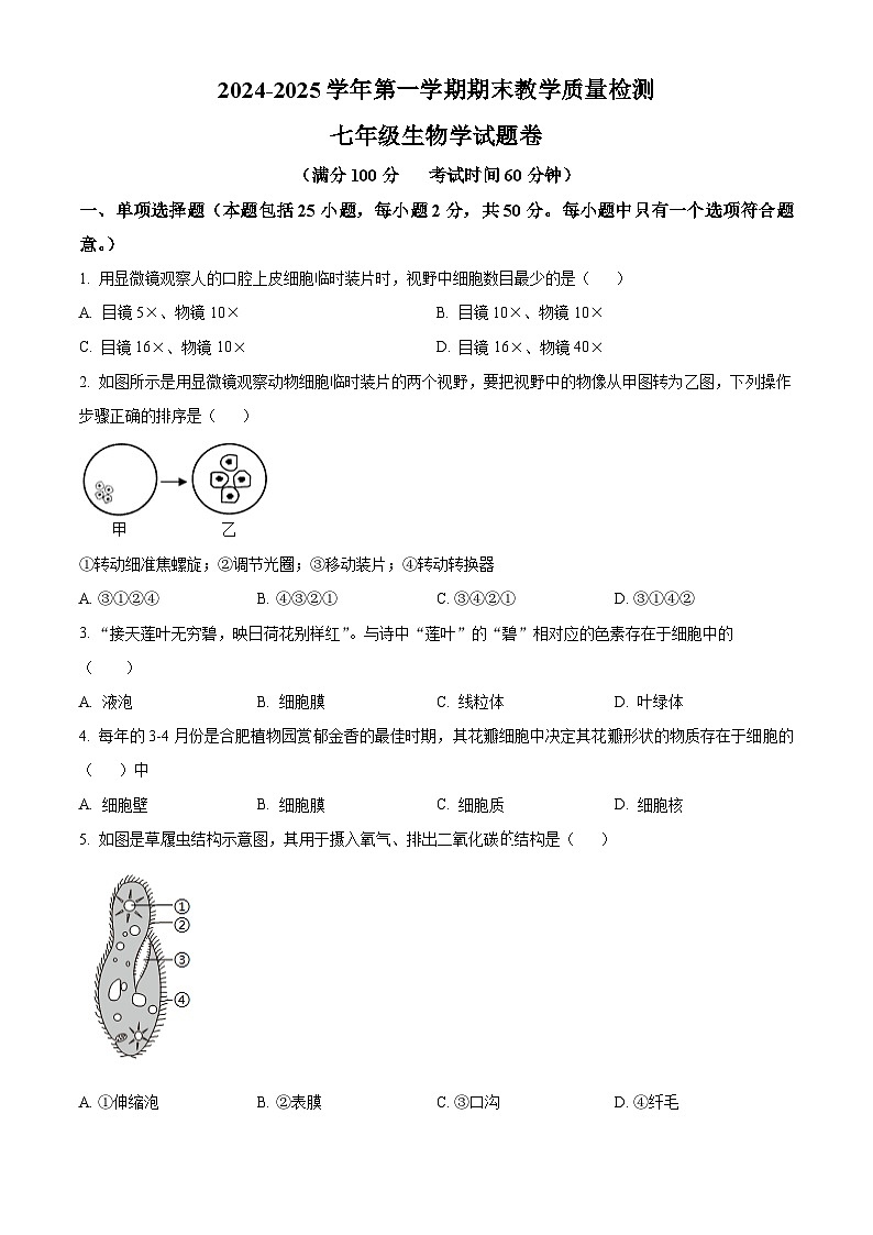 安徽省合肥市包河区2024-2025学年七年级上学期期末生物试题（原卷版+解析版）第1页