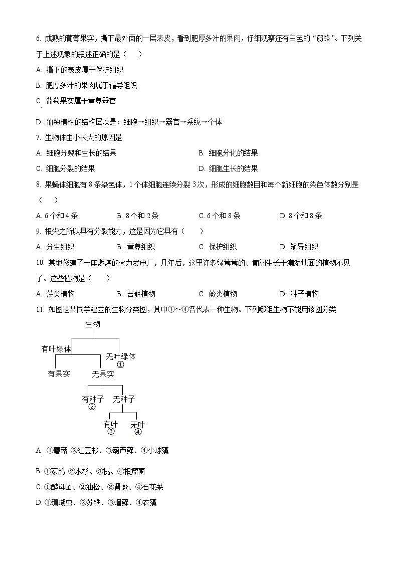 安徽省合肥市包河区2024-2025学年七年级上学期期末生物试题（原卷版+解析版）第2页