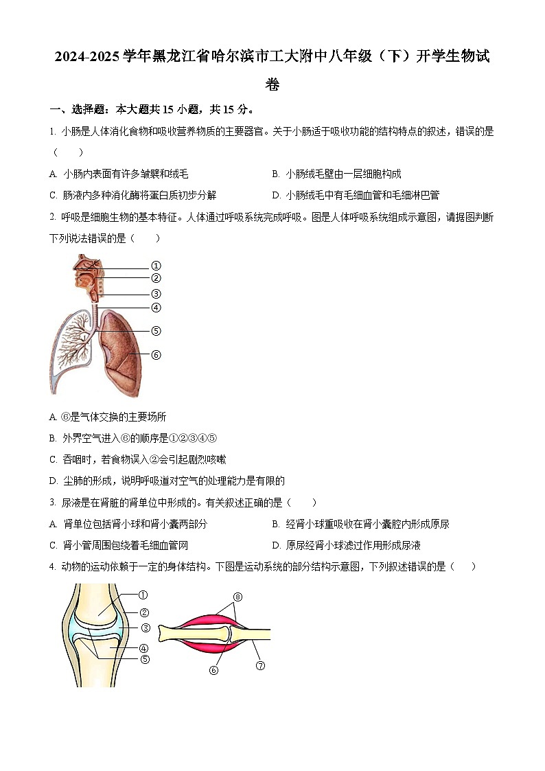 黑龙江省哈工大附中2024-2025学年八年级下学期开学生物试题（原卷版+解析版）第1页