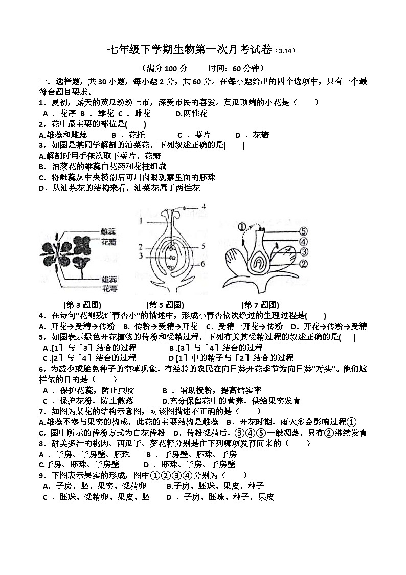 2025年3月14日济南天桥区泺口实验中学七年级下学期生物第一次月考试卷（含答案）第1页