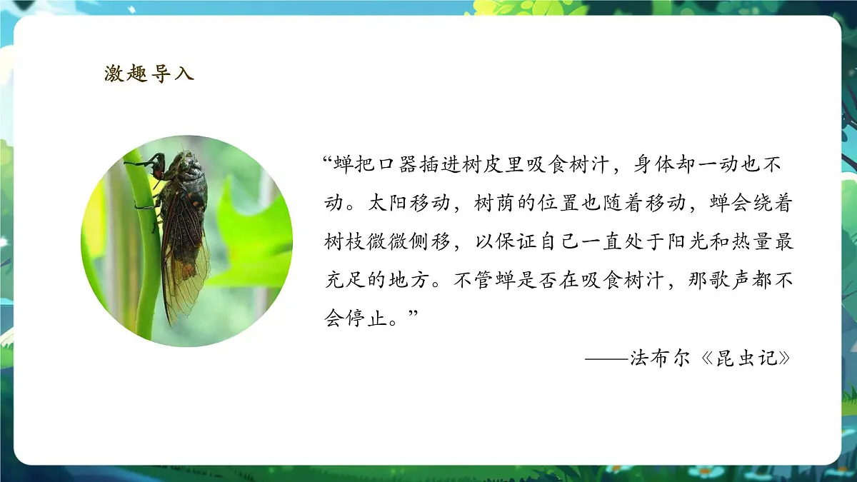 《1.1.1观察周边环境中的生物》课件第3页