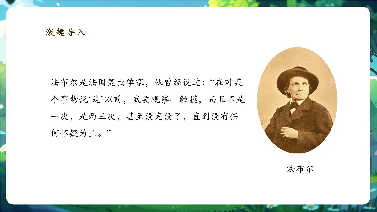《1.1.1观察周边环境中的生物》课件第4页