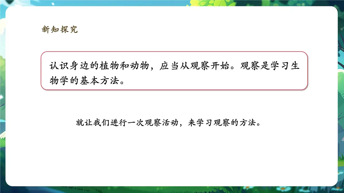 《1.1.1观察周边环境中的生物》课件第6页