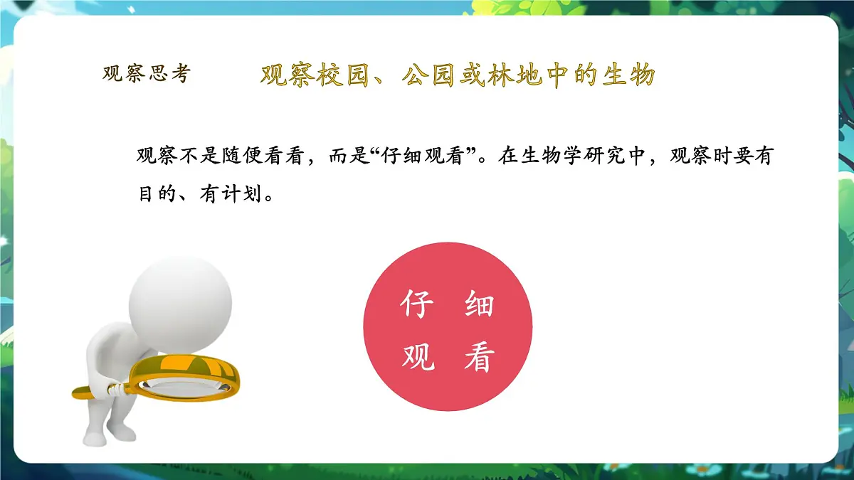 《1.1.1观察周边环境中的生物》课件第7页
