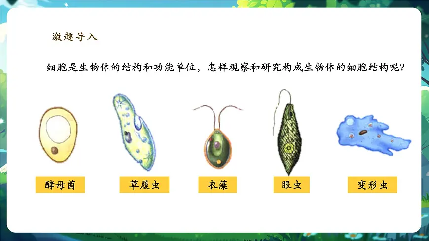 《1.2.1.1学习使用显微镜（第一课时）》课件第3页