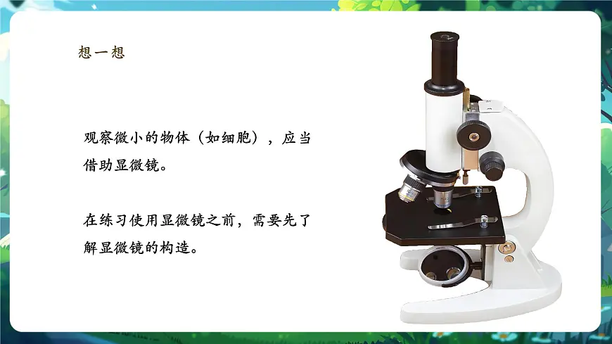 《1.2.1.1学习使用显微镜（第一课时）》课件第5页