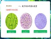 【核心素養(yǎng)優(yōu)質(zhì)課】人教版生物七年級下冊1.2.2.1植物細(xì)胞（第一課時）（課件+教案+學(xué)案+練習(xí)+大單元整體教學(xué)設(shè)計(jì)）