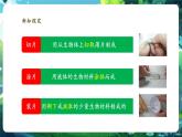 【核心素養(yǎng)優(yōu)質(zhì)課】人教版生物七年級下冊1.2.2.1植物細(xì)胞（第一課時）（課件+教案+學(xué)案+練習(xí)+大單元整體教學(xué)設(shè)計(jì)）