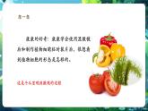 【核心素養(yǎng)優(yōu)質(zhì)課】人教版生物七年級下冊1.2.2.2植物細(xì)胞（第二課時）（課件+教案+學(xué)案+練習(xí)+大單元整體教學(xué)設(shè)計(jì)）