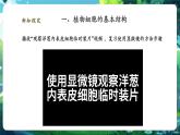 【核心素養(yǎng)優(yōu)質(zhì)課】人教版生物七年級下冊1.2.2.2植物細(xì)胞（第二課時）（課件+教案+學(xué)案+練習(xí)+大單元整體教學(xué)設(shè)計(jì)）