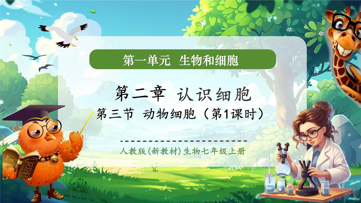 《1.2.3.1动物细胞（第一课时） 》课件第1页