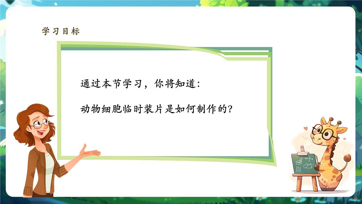 《1.2.3.1动物细胞（第一课时） 》课件第2页