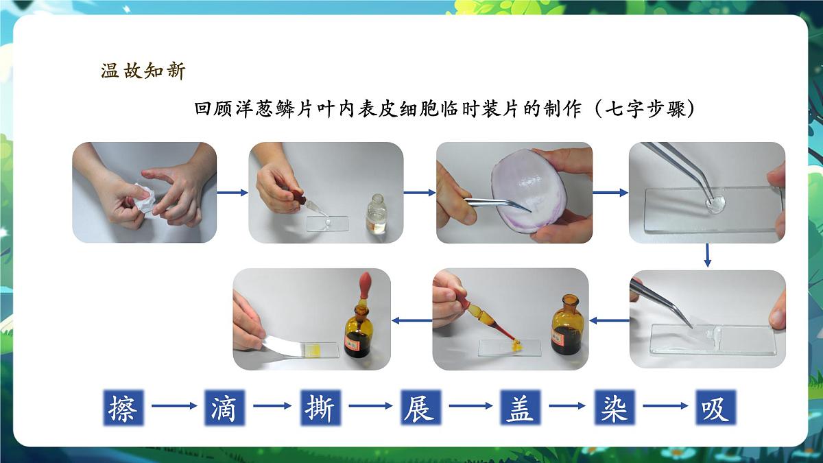 《1.2.3.1动物细胞（第一课时） 》课件第3页
