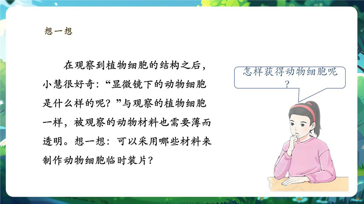 《1.2.3.1动物细胞（第一课时） 》课件第4页