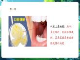【核心素養(yǎng)優(yōu)質(zhì)課】人教版生物七年級下冊1.2.3.1動物細(xì)胞（第一課時）（課件+教案+學(xué)案+練習(xí)+大單元整體教學(xué)設(shè)計）