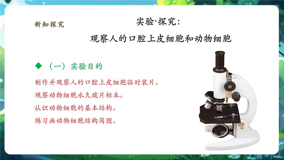 《1.2.3.1动物细胞（第一课时） 》课件第6页