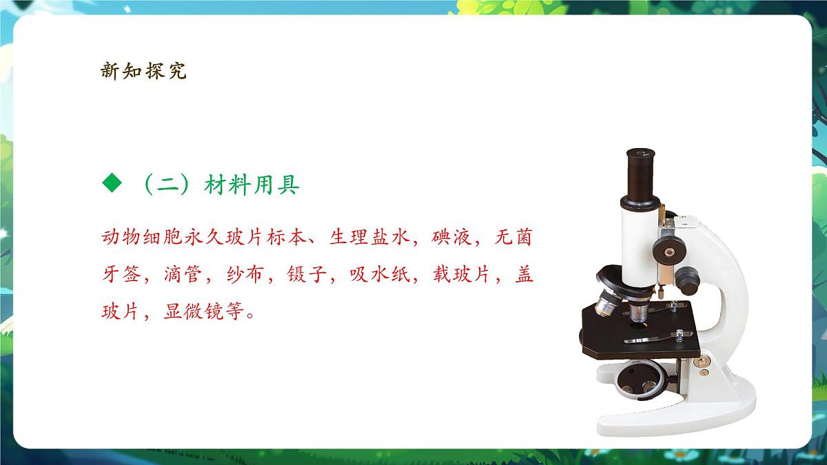 《1.2.3.1动物细胞（第一课时） 》课件第7页