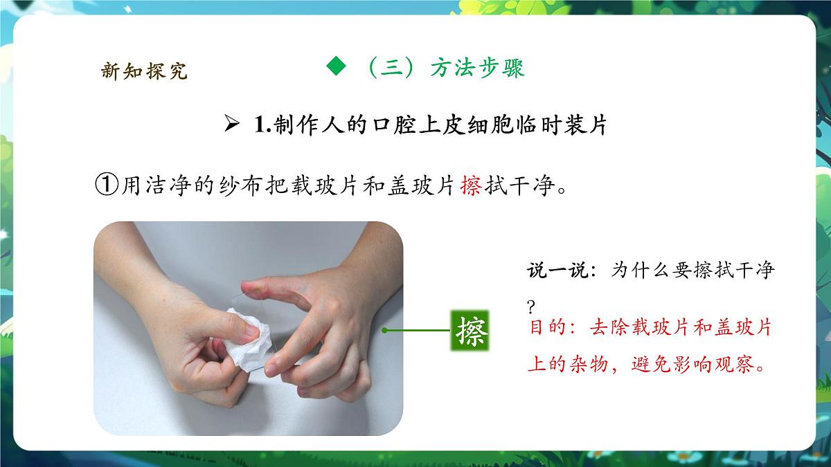 《1.2.3.1动物细胞（第一课时） 》课件第8页