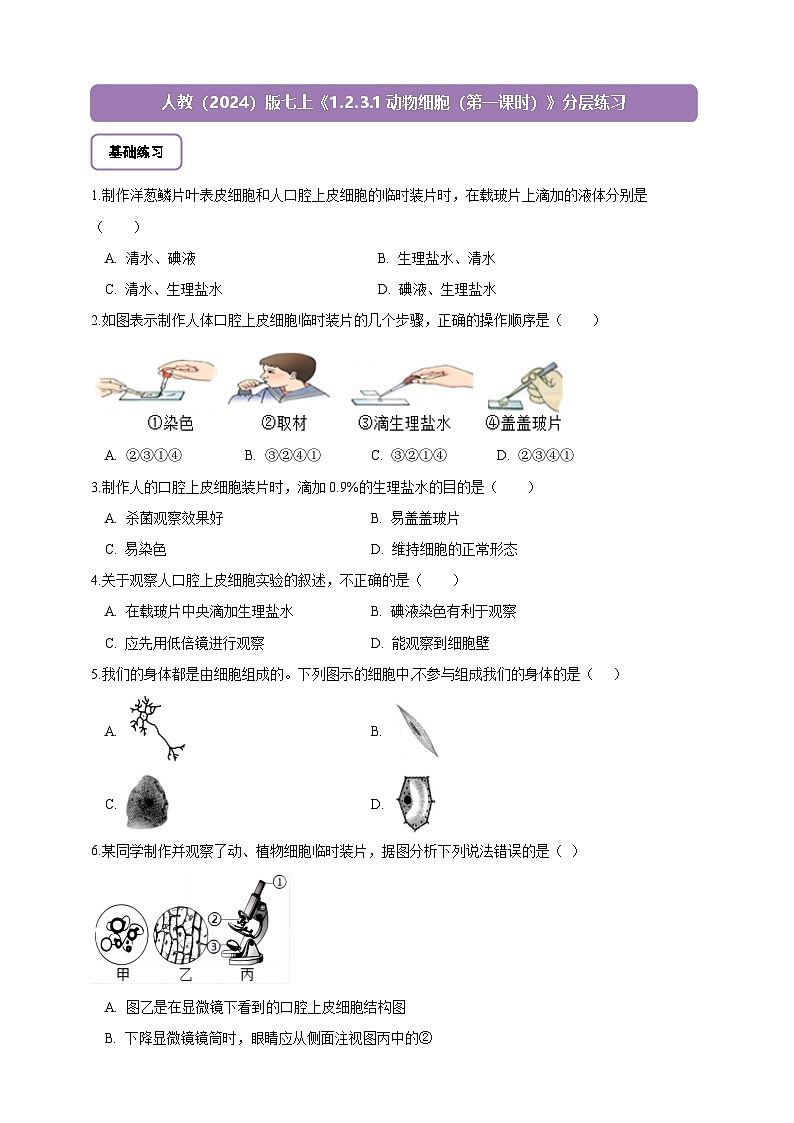 《1.2.3.1动物细胞（第一课时） 》分层练习第1页