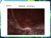 【核心素養(yǎng)優(yōu)質(zhì)課】人教版生物七年級(jí)下冊(cè)1.2.4.2細(xì)胞的生活（第二課時(shí)）（課件+教案+學(xué)案+練習(xí)+大單元整體教學(xué)設(shè)計(jì)）