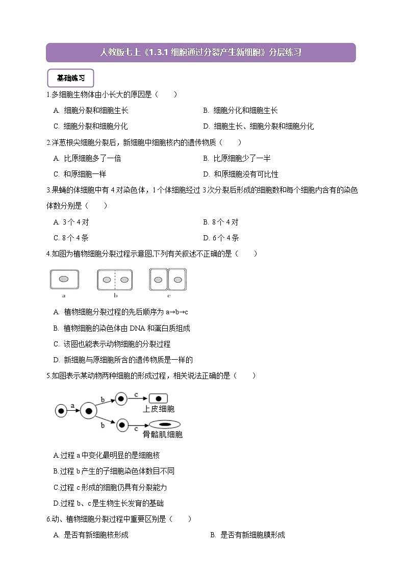 《1.3.1细胞通过分裂产生新细胞》分层练习第1页
