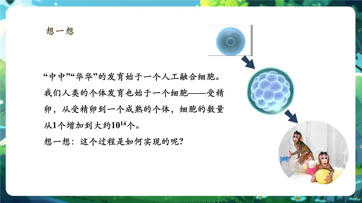 《1.3.1细胞通过分裂产生新细胞》课件第3页