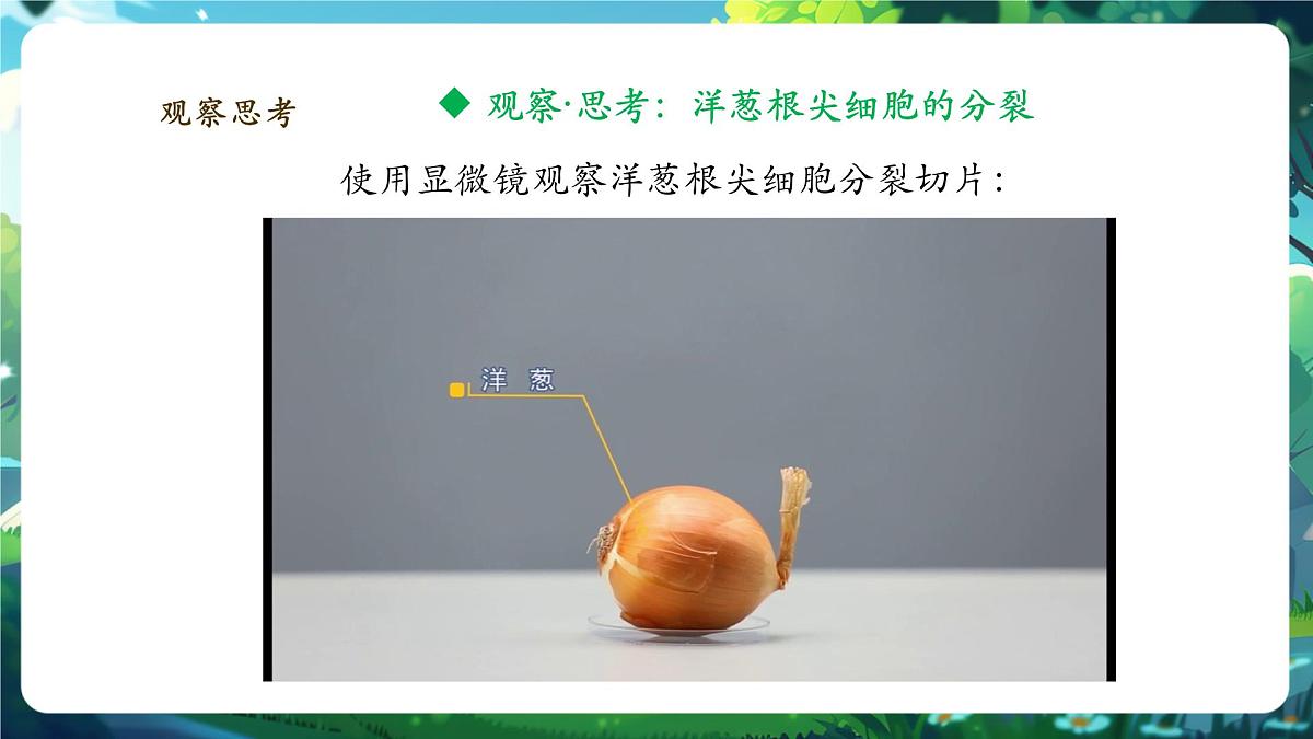 《1.3.1细胞通过分裂产生新细胞》课件第7页
