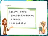 【核心素養(yǎng)優(yōu)質(zhì)課】人教版生物七年級下冊1.3.2.1動物體的結(jié)構(gòu)層次（第一課時）（課件+教案+學案+練習+大單元整體教學設計）