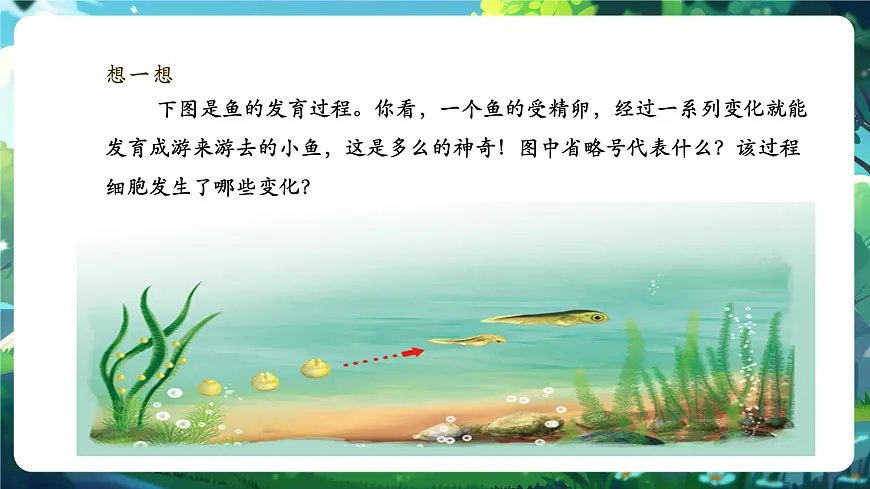 《1.3.2.1动物体的结构层次（第一课时）》课件第3页