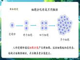 【核心素養(yǎng)優(yōu)質(zhì)課】人教版生物七年級下冊1.3.2.1動物體的結(jié)構(gòu)層次（第一課時）（課件+教案+學案+練習+大單元整體教學設計）