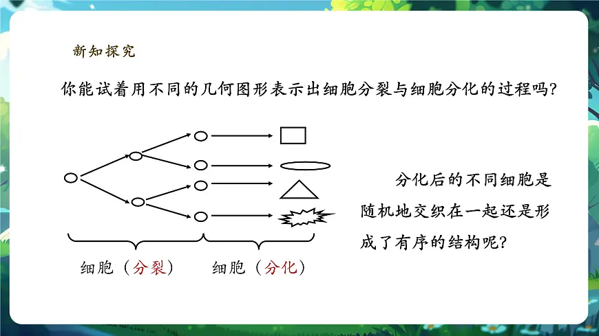 《1.3.2.1动物体的结构层次（第一课时）》课件第8页
