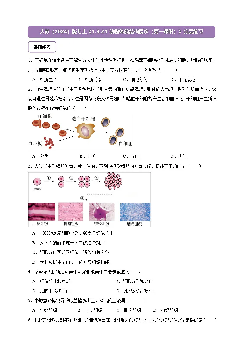 《1.3.2.1动物体的结构层次（第一课时）》分层练习第1页