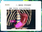 【核心素養(yǎng)優(yōu)質(zhì)課】人教版生物七年級下冊1.3.2.2動物體的結(jié)構(gòu)層次（第二課時）（課件+教案+學案+練習+大單元整體教學設計）