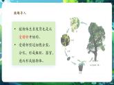 【核心素養(yǎng)優(yōu)質(zhì)課】人教版生物七年級下冊1.3.3植物體的結(jié)構(gòu)層次（課件+教案+學案+練習+大單元整體教學設(shè)計）