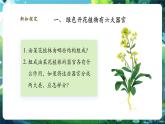 【核心素養(yǎng)優(yōu)質(zhì)課】人教版生物七年級下冊1.3.3植物體的結(jié)構(gòu)層次（課件+教案+學案+練習+大單元整體教學設(shè)計）