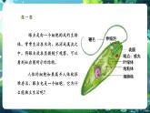 【核心素養(yǎng)優(yōu)質(zhì)課】人教版生物七年級下冊1.3.4單細胞生物（課件+教案+學案+練習+大單元整體教學設計）