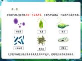 【核心素養(yǎng)優(yōu)質(zhì)課】人教版生物七年級下冊1.3.4單細胞生物（課件+教案+學案+練習+大單元整體教學設計）
