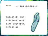 【核心素養(yǎng)優(yōu)質(zhì)課】人教版生物七年級下冊1.3.4單細胞生物（課件+教案+學案+練習+大單元整體教學設計）